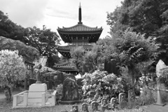 1000521429御滝不動尊