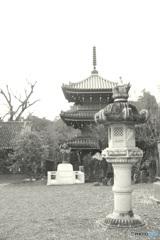 IMG_4084