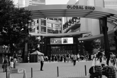 IWGP