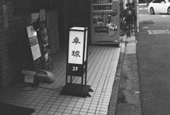 卓球