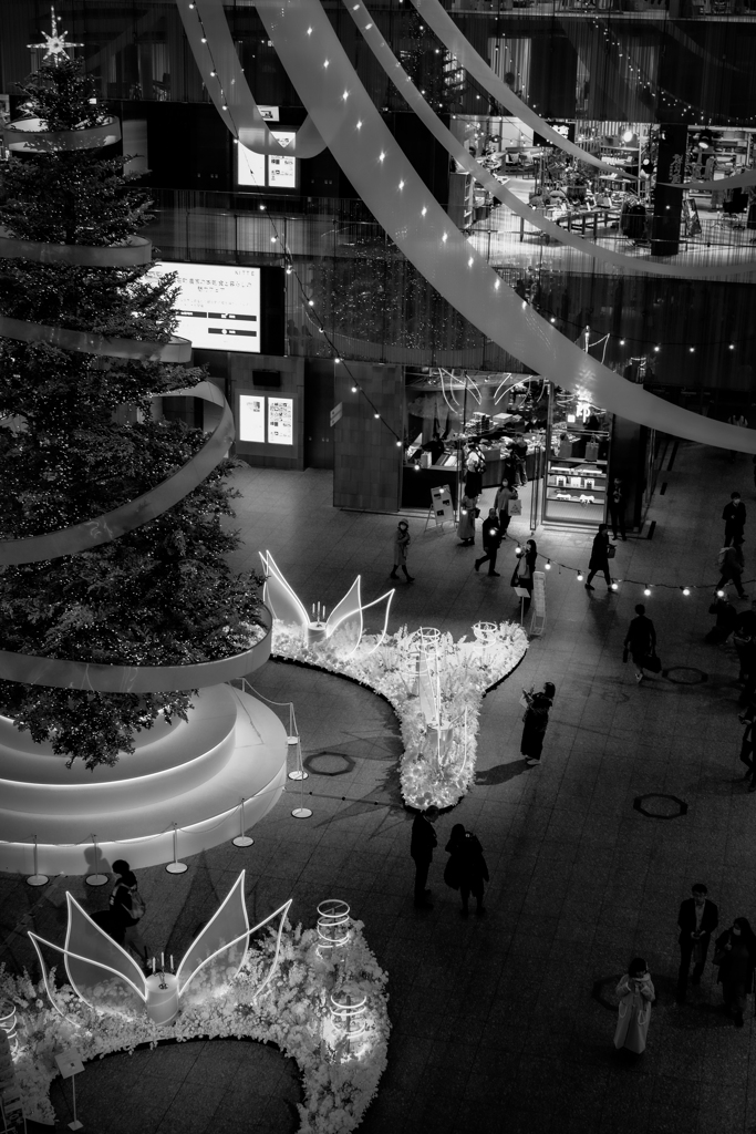 クリスマスツリー