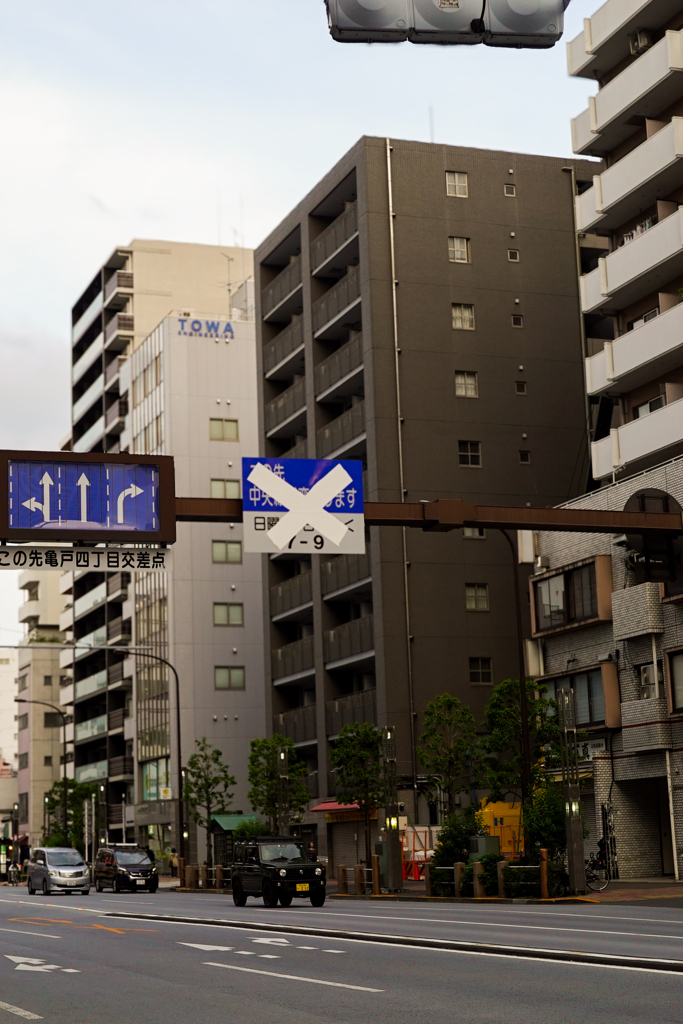 雑