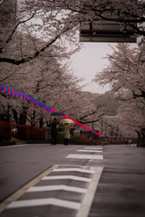 播磨坂