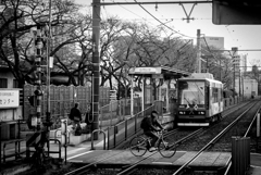 路面電車