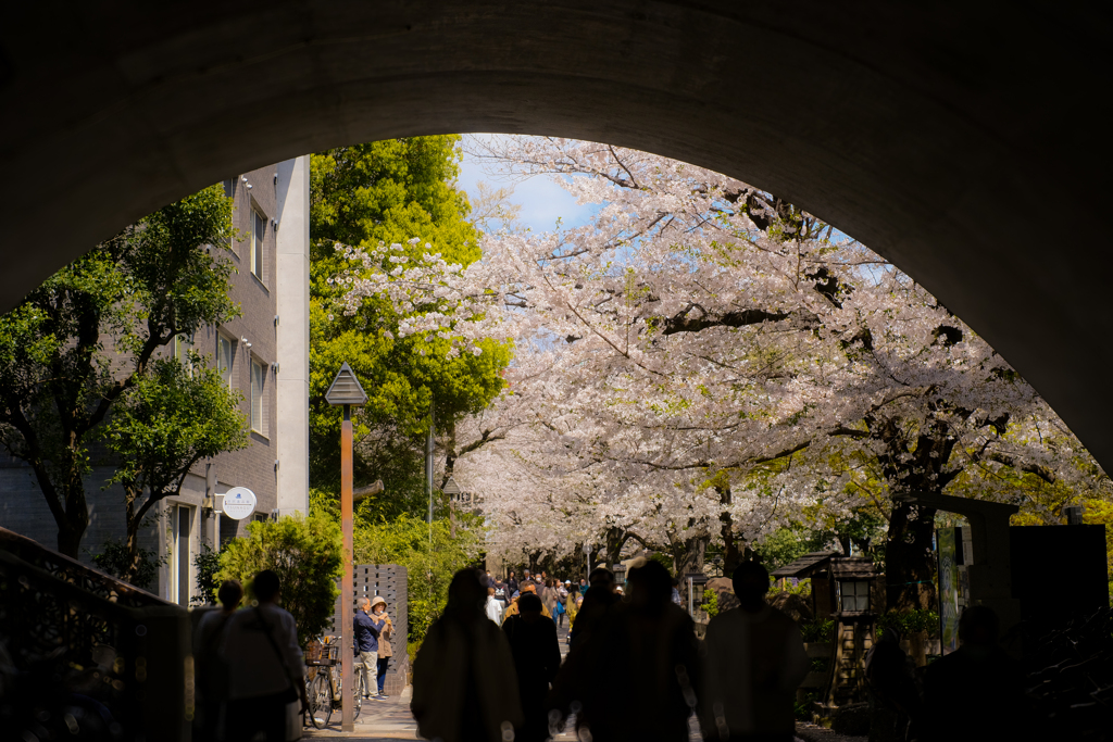 飛鳥山公園