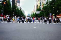 横断歩道