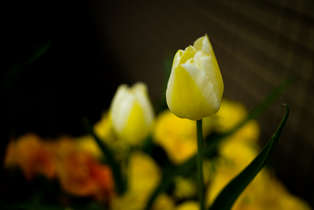 花壇