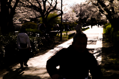 石神井川