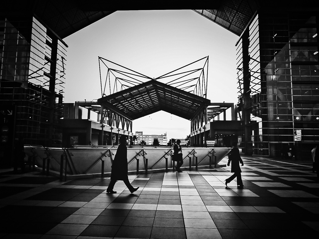 BIG SIGHT2011