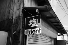 塩とオリエント