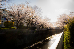 石神井川