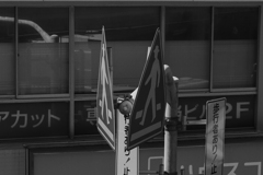 出会い