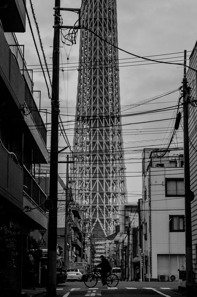 スカイツリー