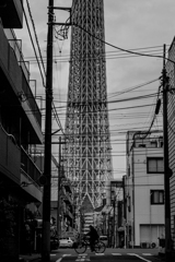 スカイツリー