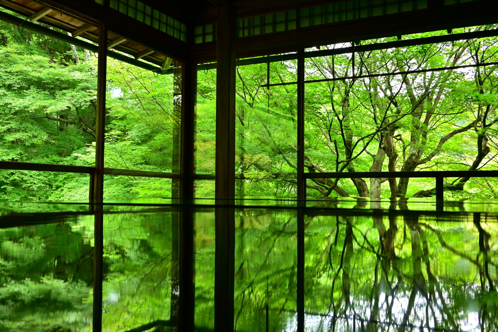 瑠璃光院