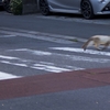 青を渡る