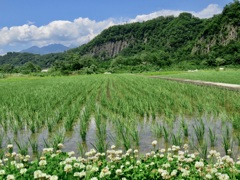 見守る七里岩