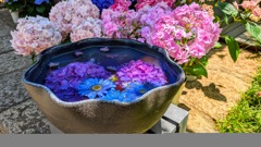 花