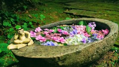 花手水