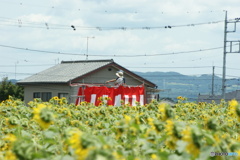 DSC00218