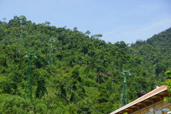 DSC01462