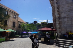 DSC01558