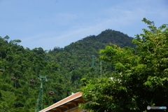 DSC01463