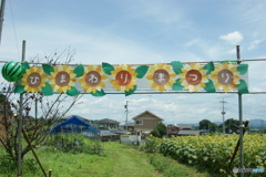 DSC00219