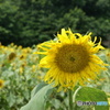 DSC00197