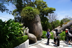 DSC01489