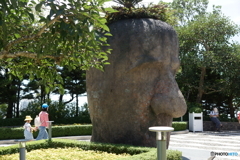 DSC01487