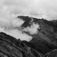 DSC_6588