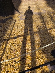 あしながおじさーん