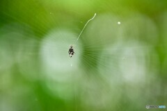 小さな世界