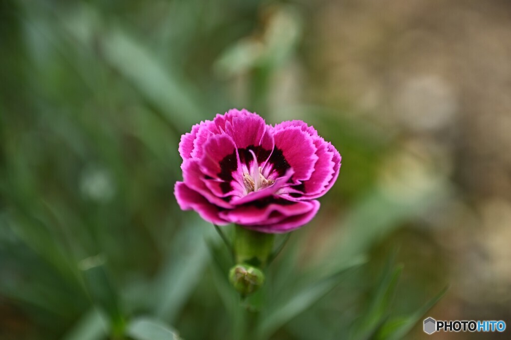 思い出に浸って