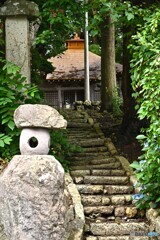 紫陽花の咲く頃