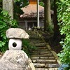 紫陽花の咲く頃