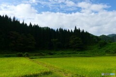 新秋の山里