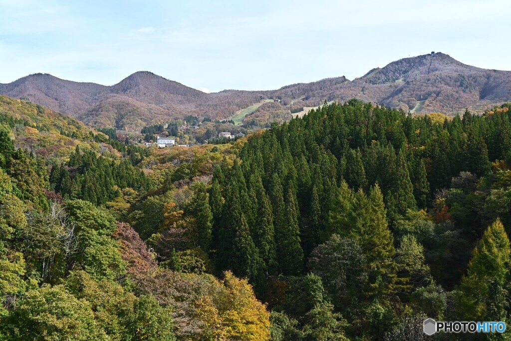 秋深まる