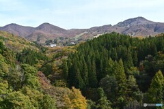 秋深まる