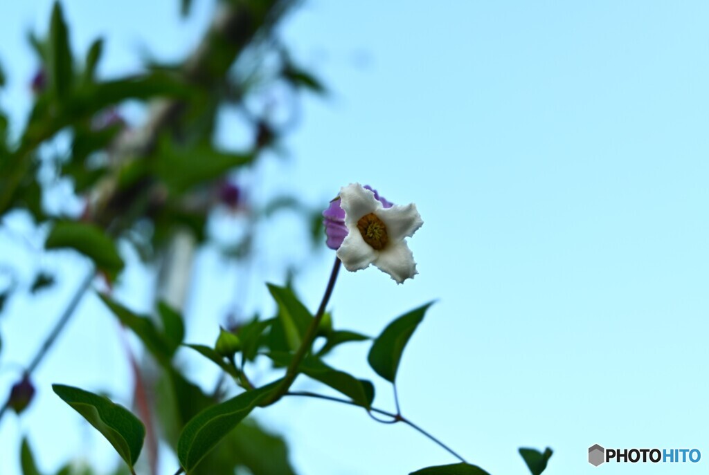 高所から