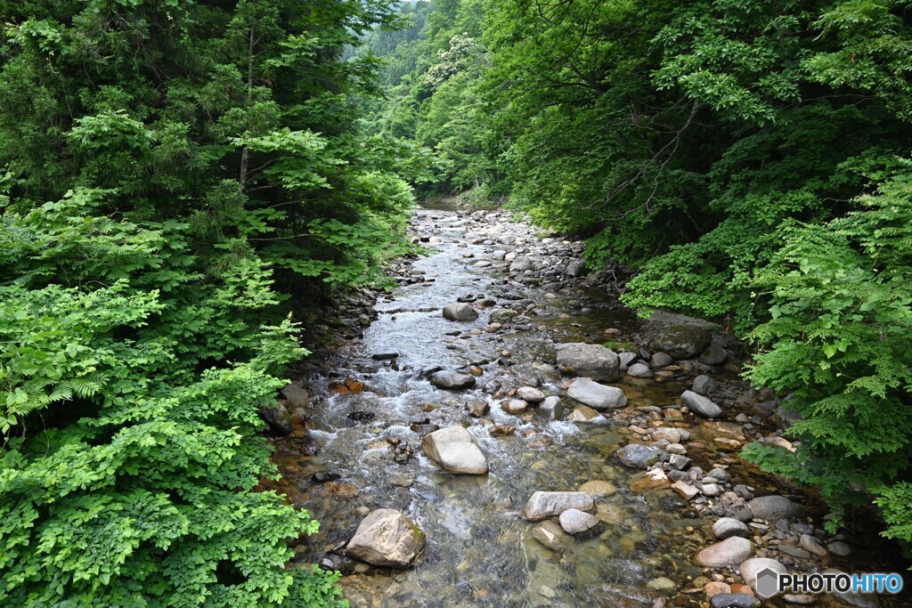 涼涼涼