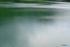 夏風揺らす漣