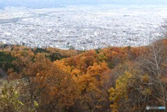 色付く我が街