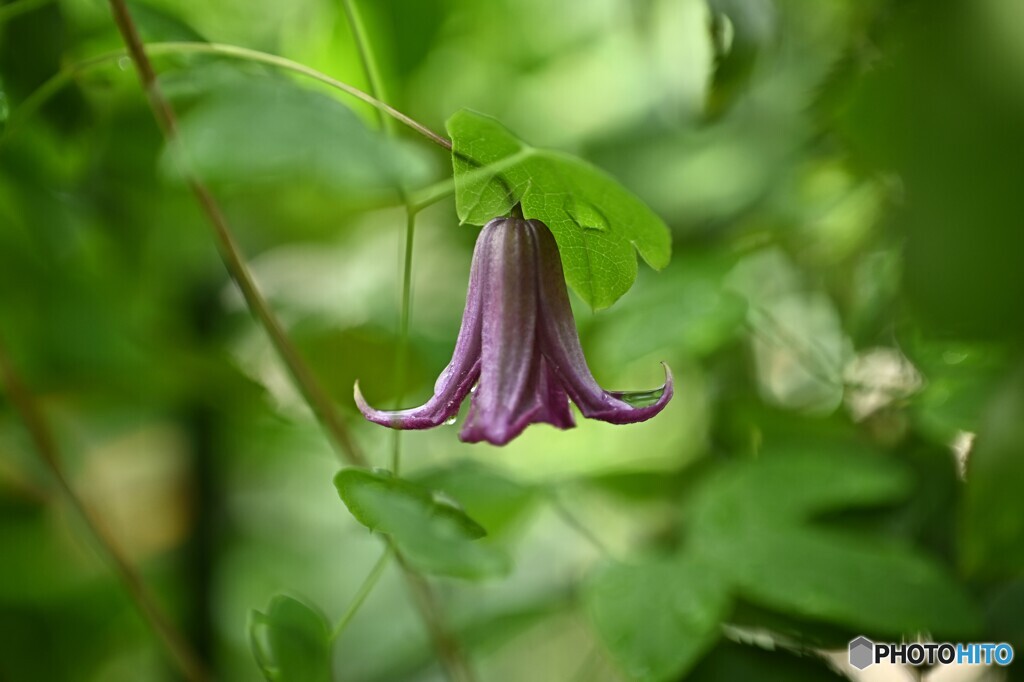 貴方に逢えて良かった・・・