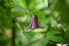 貴方に逢えて良かった・・・ 貴方に逢えて良かった・・・