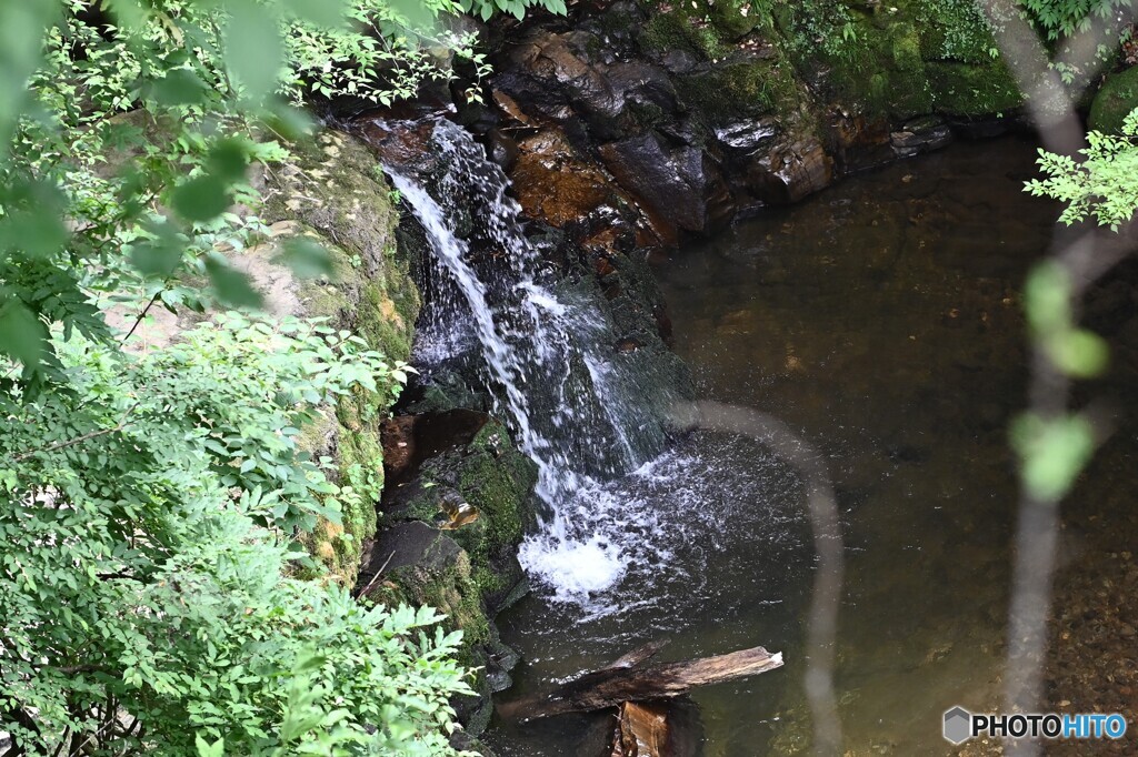 山里の涼