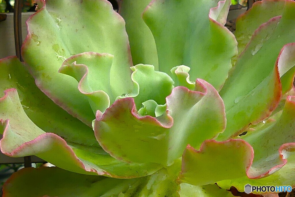 過ごし易い季節に