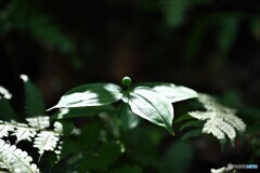 静寂の中で