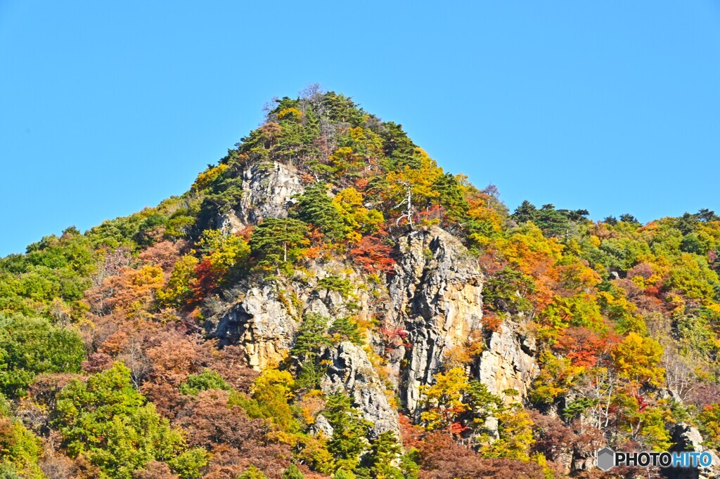 彩姿